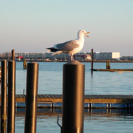 보트호텔 Hausboot Kaddi's Sundream - Huus & *